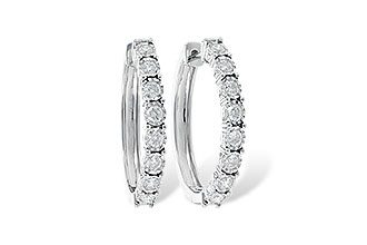 G217-65725: EARR 1.00 TW